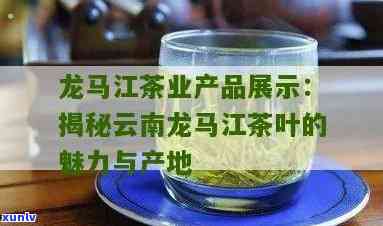 云南龙马茶业，探索云南龙马茶业：高品质茶叶的生产商