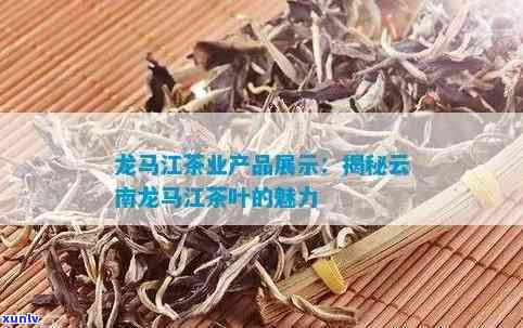 云南龙马茶业，探索云南龙马茶业：高品质茶叶的生产商