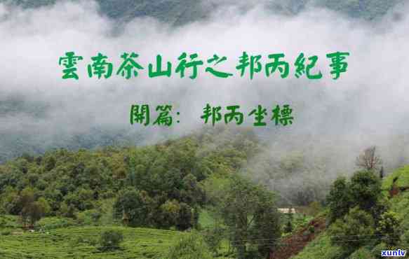 云南六大茶山：邦崴野生茶价格与全介绍