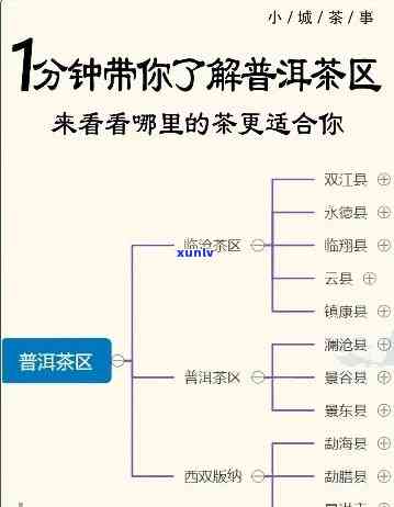 云南三大茶区的茶有何特点？详解其分布与产区特性