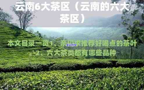 云南四大茶区分别是-云南四大茶区分布