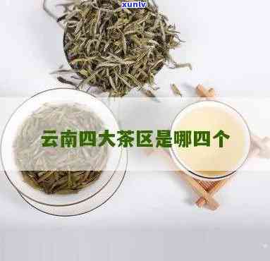 云南四大茶区分别是-云南四大茶区分布