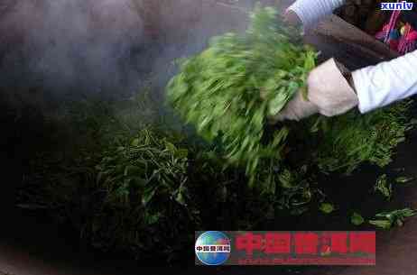 云南马帮贡茶茶业，探索云南马帮贡茶茶业：茶叶 *** 工艺与历文化