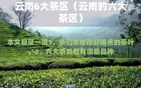 云南省有几大茶区，揭秘云南：探究其拥有的五大重要茶区