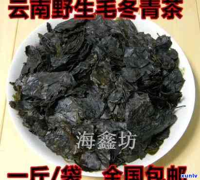 云南纯天然野生茶毛冬青，探索云南大自然馈赠：纯天然野生茶毛冬青的独特魅力