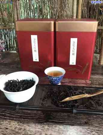 茶树嫁接技术要点，掌握茶树嫁接技术要点，提升茶叶品质与产量