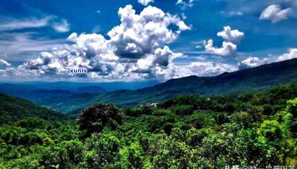 云南六大茶山图片高清，高清美图：探秘云南六大茶山的神秘风光