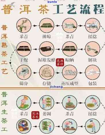 普茶 ***  *** 视频大全教程：步骤详解与图片展示