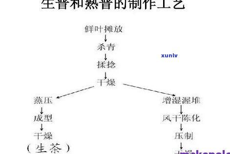 普茶 ***  *** 视频大全教程：步骤详解与图片展示