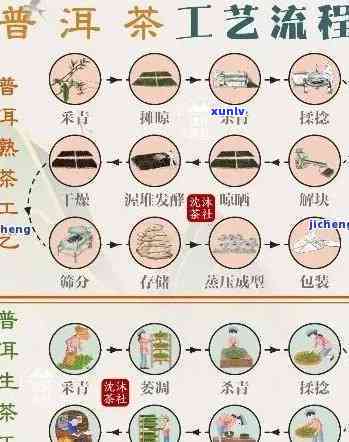 普茶的 ***  *** 详解：步骤、视频与配方全攻略