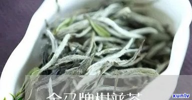 金马牌桔普茶怎么样-金马牌桔普茶怎么样好喝吗