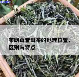 云南布朗山茶区：位置与特色简介