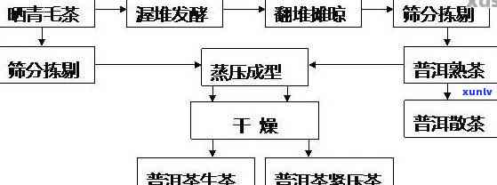 普茶百科，全面解析普茶：种类、 ***  *** 与健益处