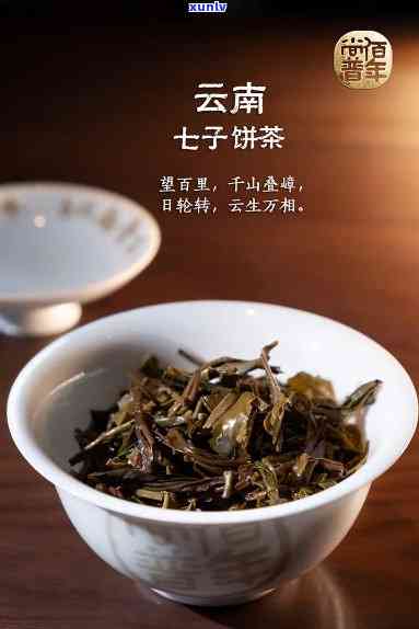 云南七子茶业，品味云南：探索云南七子茶业的世界