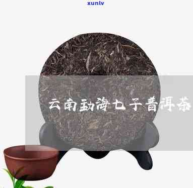 云南七子茶官网，探索云南独特的风味：访问云南七子茶官网站！