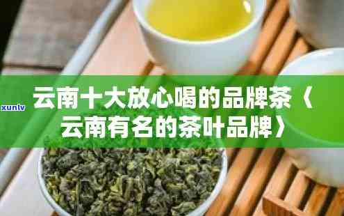 中国十大云南茶排行榜：揭示更受欢迎的茶叶