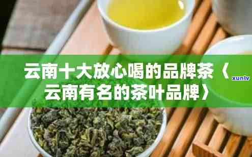 云南茶十大知名排行榜：揭示云南更具影响力的