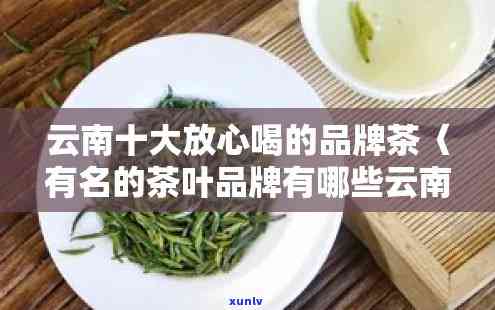 云南著名茶叶排行榜：前十名及详细解析