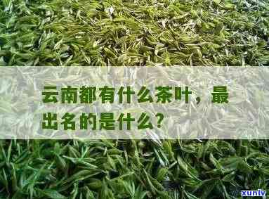 云南四大名茶是什么-云南四大名茶是什么茶