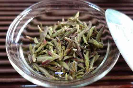 野生芽孢茶有吗？可以安全饮用或食用吗？