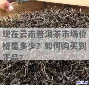 吉州窑茶叶末釉茶盏价格全解析：图片与具体金额一应俱全