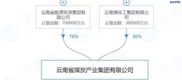 云南云股份：官网、国企身份全解析