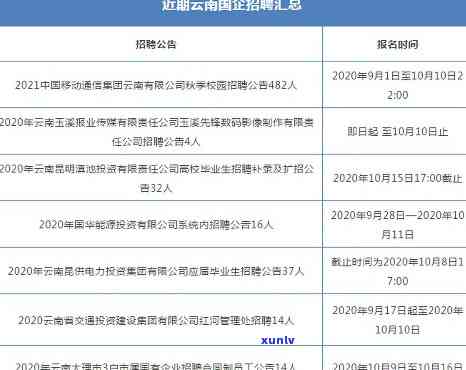 云南云股份：官网、国企身份全解析