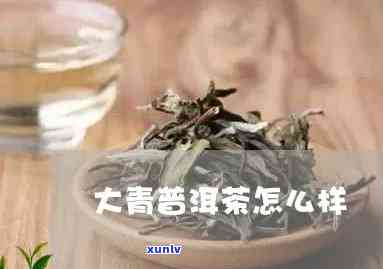 大叶青是普洱茶吗，解答疑惑：大叶青是否属于普洱茶？