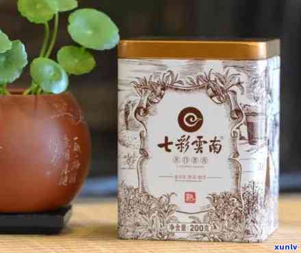 七彩云南茶彩韵系列-七彩云南茶叶