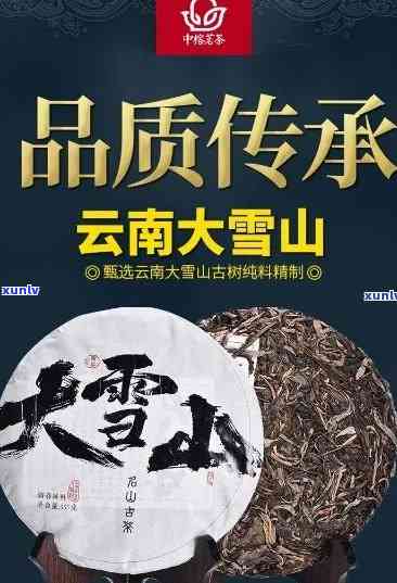 云南大雪山茶叶：高品质养生茶，由云南大雪山茶叶专业生产