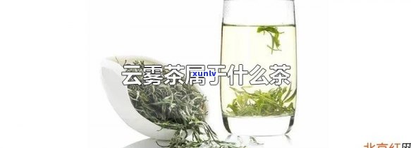 云南云雾茶产于哪里-云南云雾茶产于哪里的