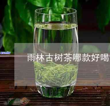 雨林古树茶哪款好喝-雨林古树茶哪款好喝一点