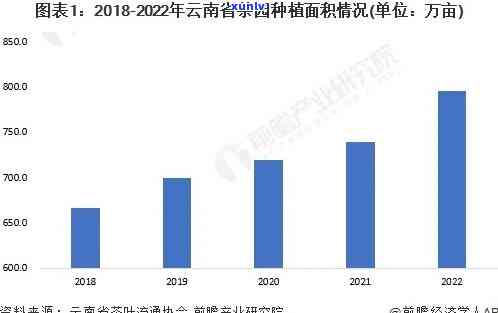 云南春尖茶市场情况如何？最新分析报告揭晓！