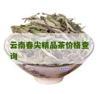 云南春尖茶市场情况-云南春尖茶市场情况分析