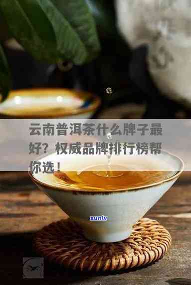 云南普洱茶哪个牌子喝？推荐几款口感优秀的好茶