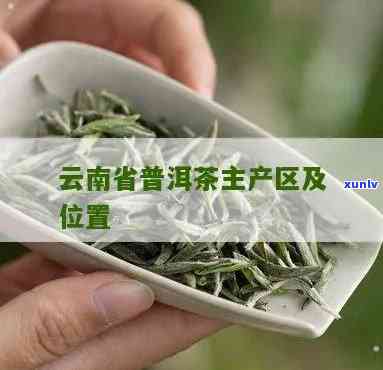 云南潽洱茶分布情况-云南潽洱茶厂