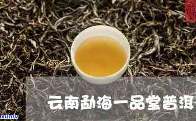 云南一品堂甲级茶价-云南一品堂甲级茶价格多少