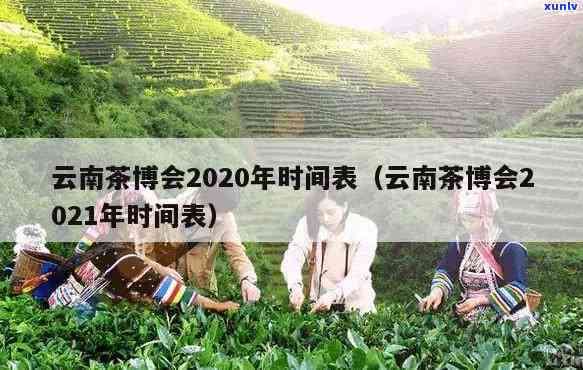 云南首届茶博会念茶：品种介绍与之一届展会时间