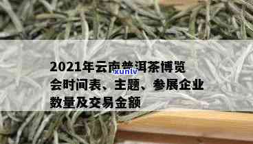 云南首届茶博会念茶：品种介绍与之一届展会时间