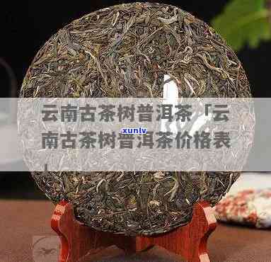 云南古树茶价格查询-云南古树茶价格查询表