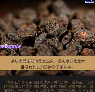 古树茶化石价格查询-古树茶化石价格查询表