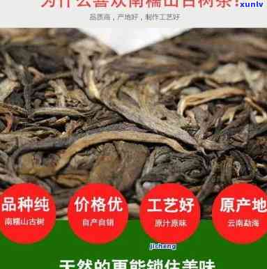 2008年云南老班章三爬古树普洱茶熟茶饼18年新制勐海生茶饼