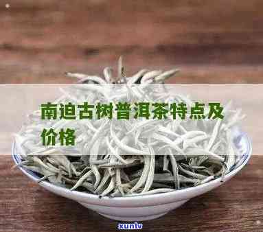 南迫古树普洱茶特点及其市场价格