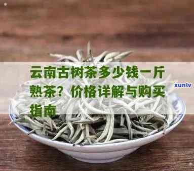 西双版纳古树茶多少钱一斤，揭秘西双版纳古树茶价格，一斤多少钱？