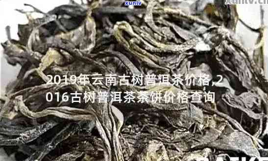 勐库章外古树茶价格-勐库章外古树茶价格多少