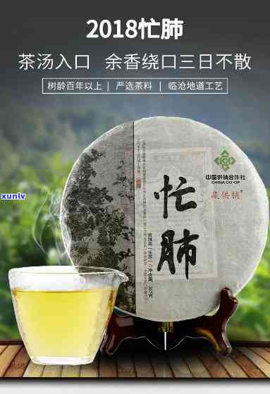 云南忙肺古树茶价格-云南忙肺古树茶历