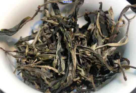 景迈古树茶的价格，探寻高品质生活：揭秘景迈古树茶的价格