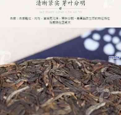 景迈古树茶生茶价格-景迈古树茶生茶价格多少