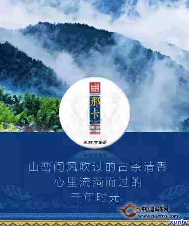 雨林古树茶70周年献礼，雨林古树茶：70年传奇，献礼华章