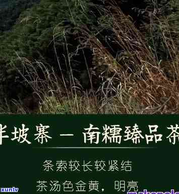 半坡寨古树茶价格表，探索古树茶文化：半坡寨古树茶价格一览